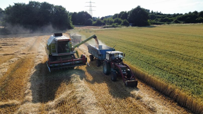 Landwirtschaftliche Lohnarbeit